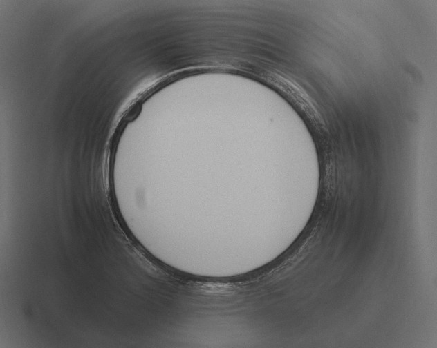 X0000116291180200912291406