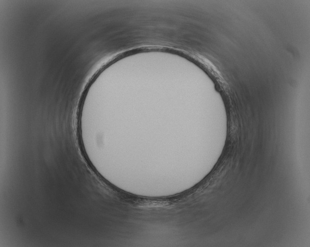 X0000116291183200912291406