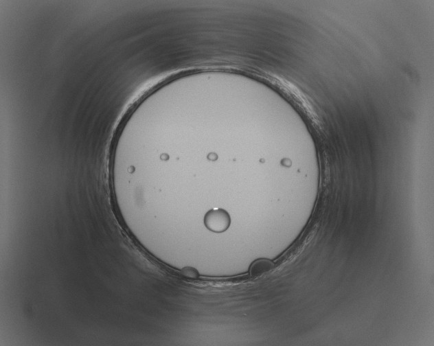 X0000116291184200912291406