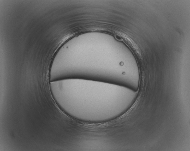 X0000116291185200912291406