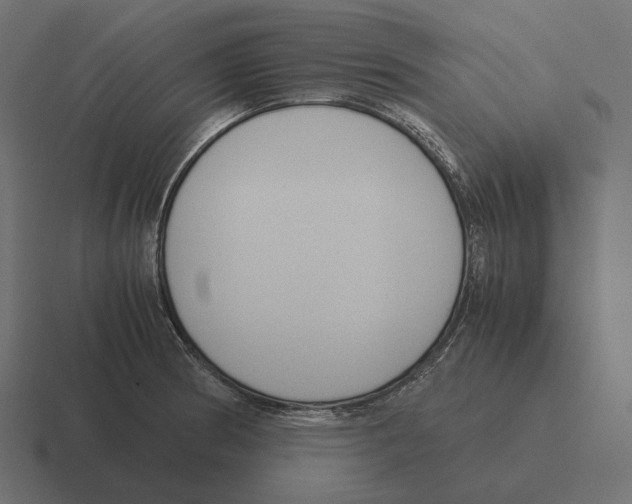 X0000116291186200912291406