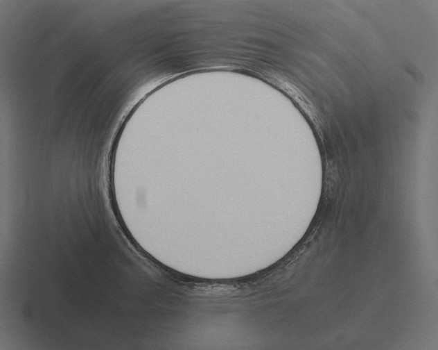 X0000116291187200912291406