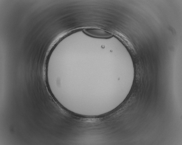 X0000116291188200912291406