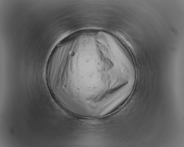 X0000116291189200912291406