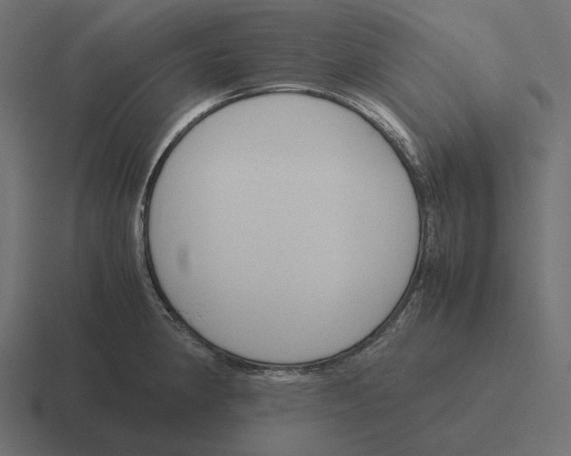 X0000116291190200912291406