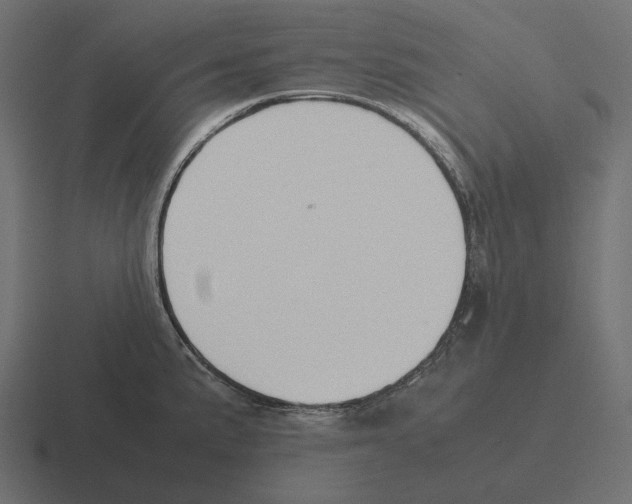 X0000116291191200912291406