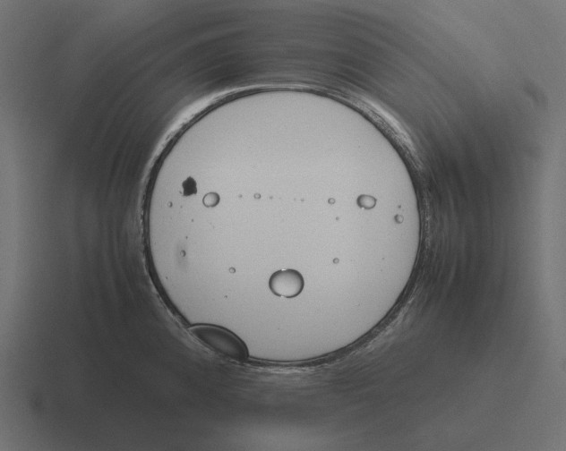 X0000116291192200912291406