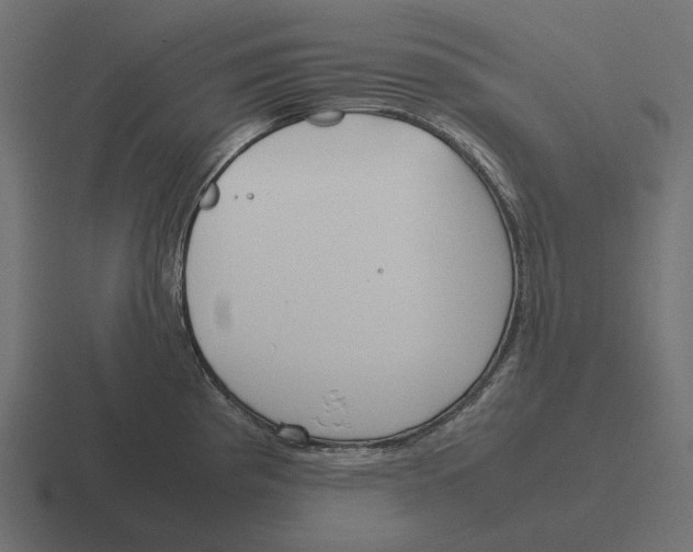 X0000116291193200912291406