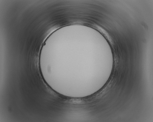 X0000116291194200912291406