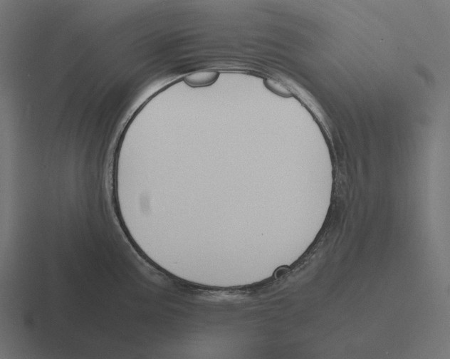 X0000116291195200912291406