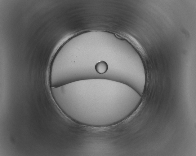 X0000116291196200912291406