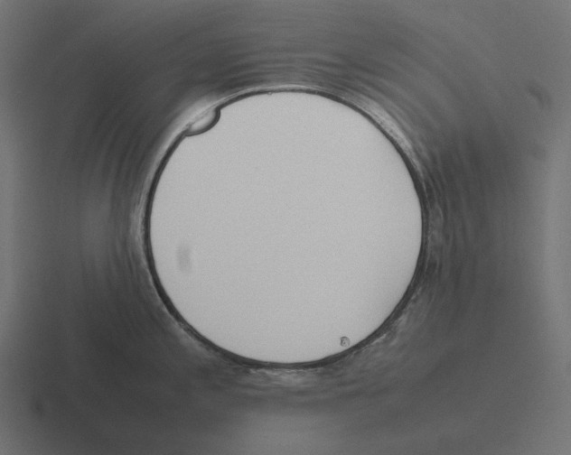 X0000116291197200912291406