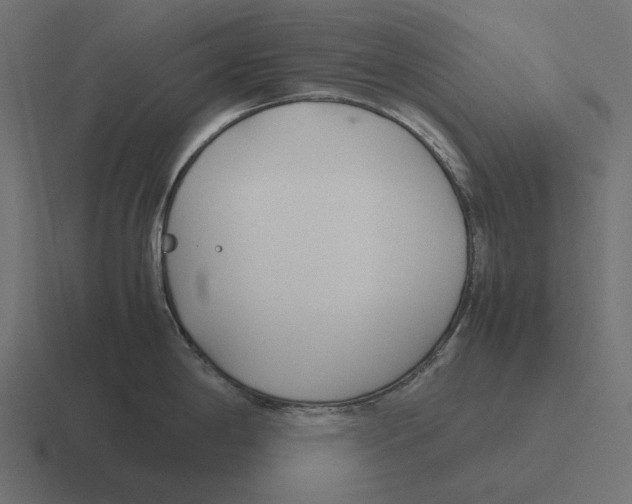 X0000116291198200912291406