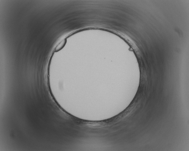 X0000116291199200912291406