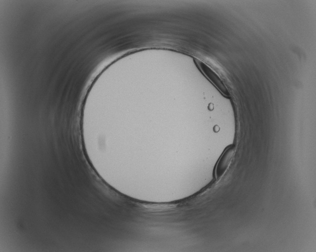 X0000116291200200912291406