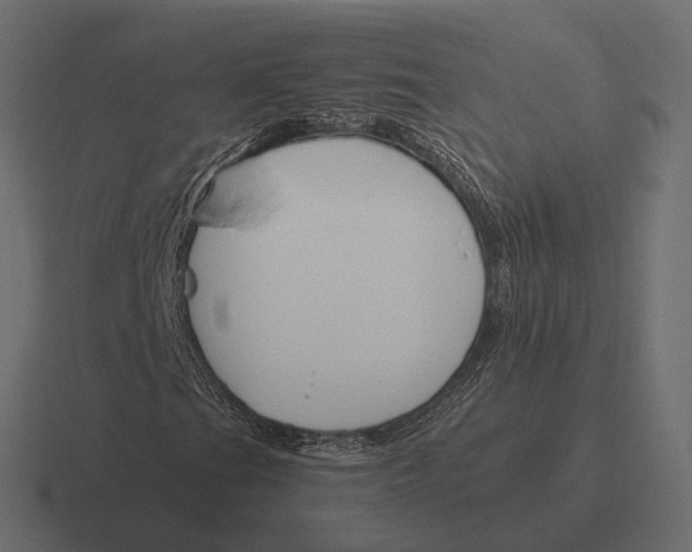 X0000116291201200912291405