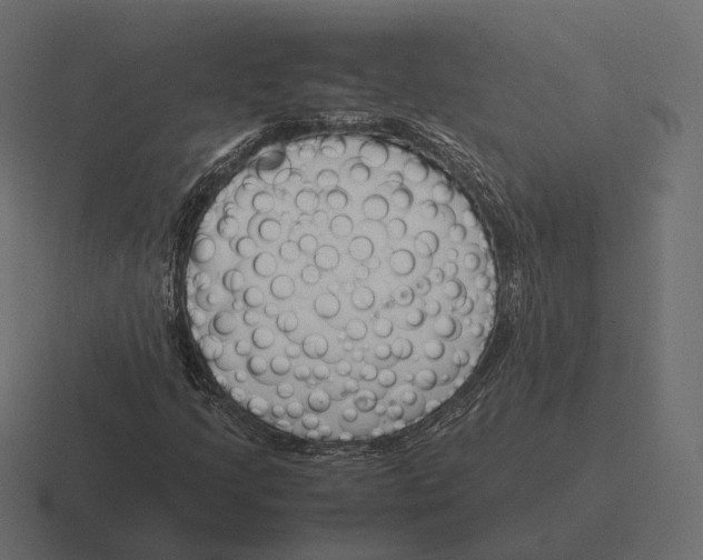 X0000116291205200912291405