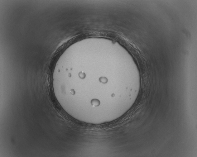 X0000116291206200912291406