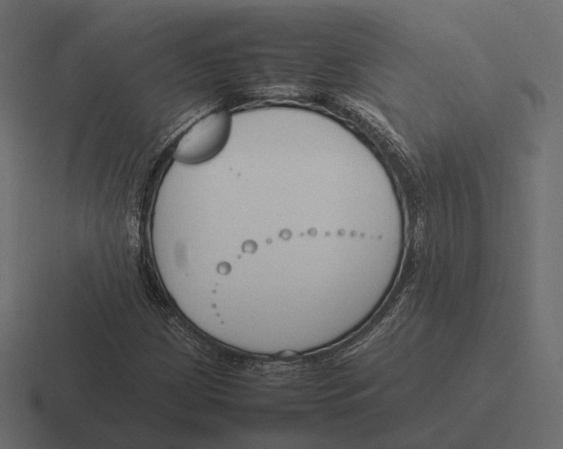 X0000116291209200912291406