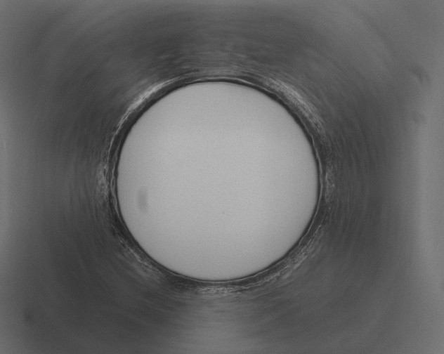 X0000116291212200912291406