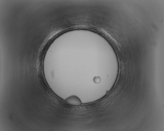 X0000116291215200912291406