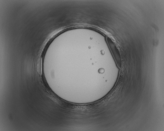 X0000116291223200912291406