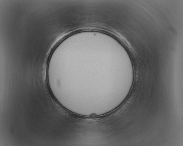 X0000116291224200912291406