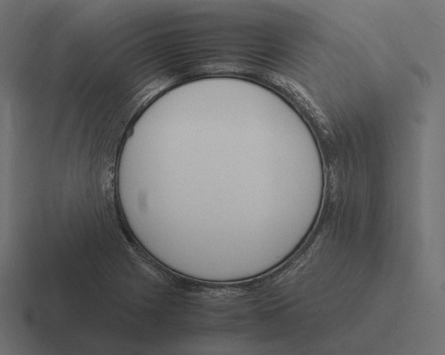 X0000116291225200912291406