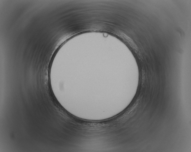 X0000116291226200912291406