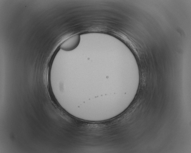 X0000116291227200912291406