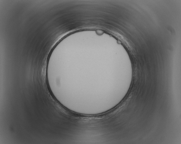 X0000116291228200912291406