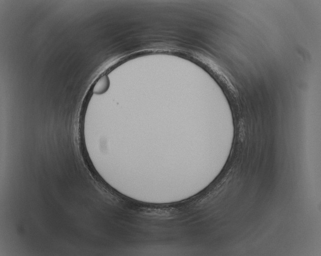 X0000116291229200912291406