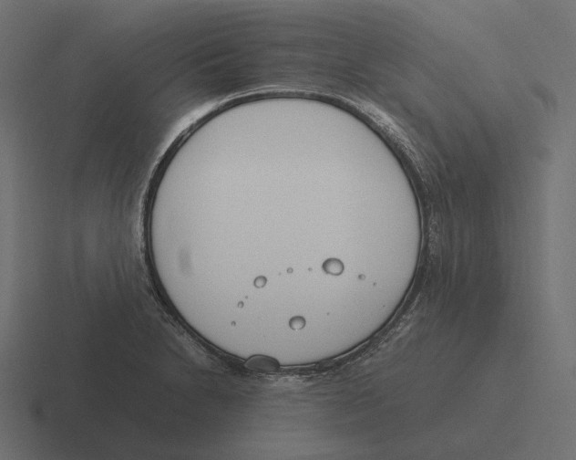 X0000116291230200912291406