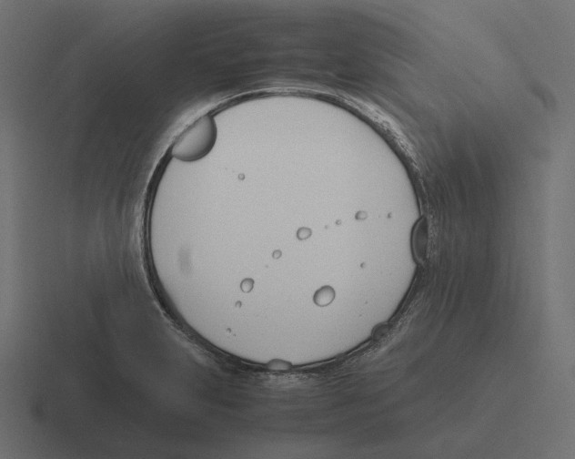 X0000116291231200912291406