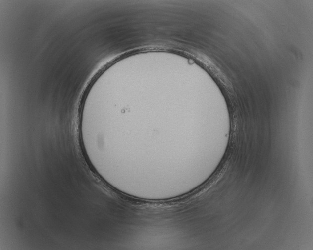 X0000116291232200912291406