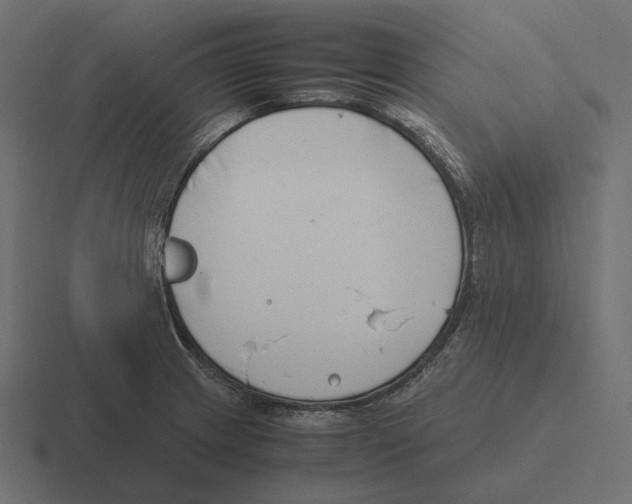 X0000116291233200912291406