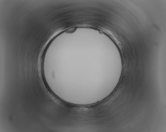 X0000116291235200912291406