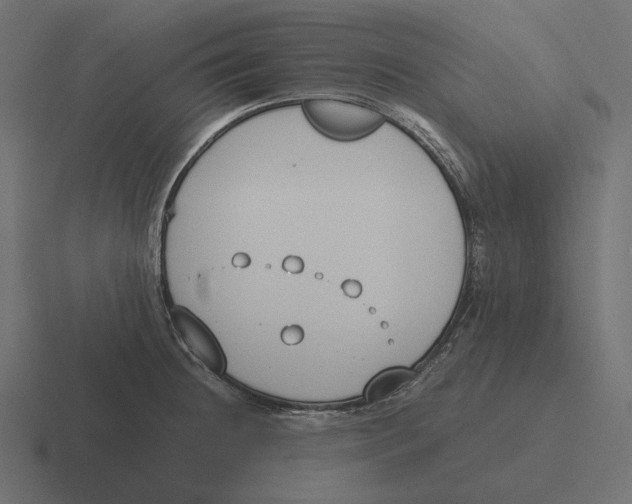 X0000116291236200912291406