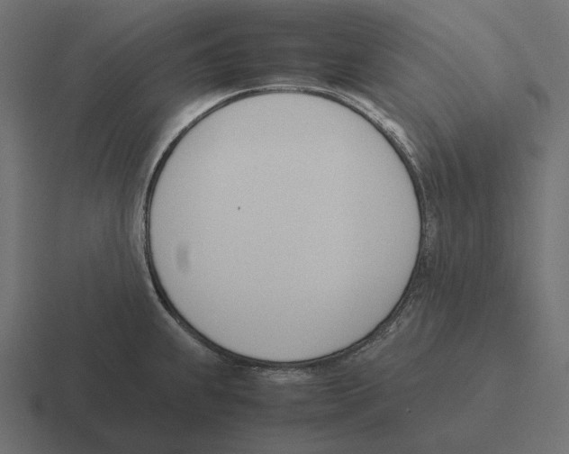 X0000116291239200912291406