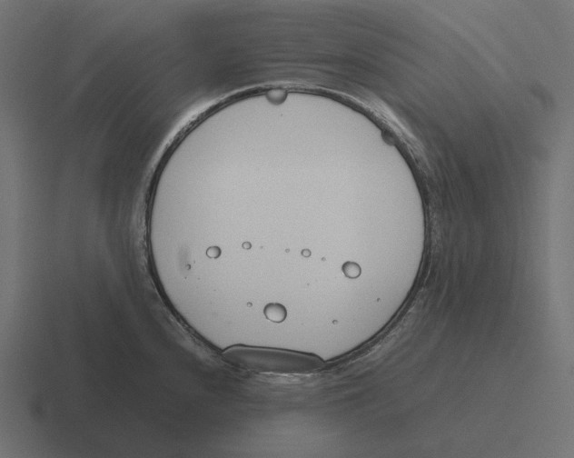 X0000116291240200912291406