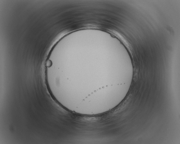 X0000116291243200912291406