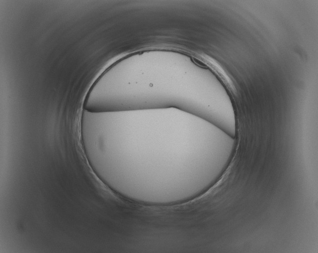 X0000116291244200912291406