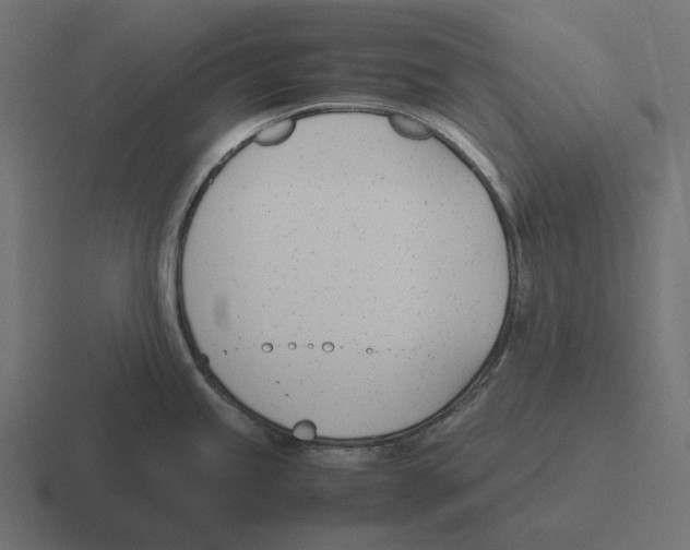 X0000116291245200912291406