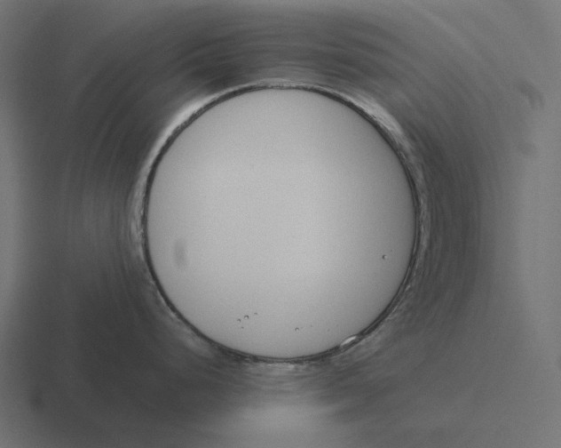 X0000116291248200912291406