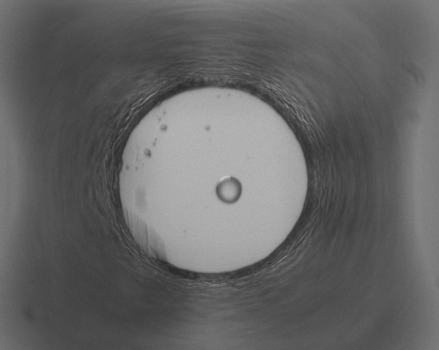 X0000116291249200912291405