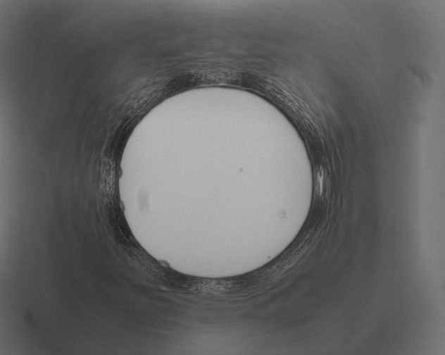 X0000116291251200912291405