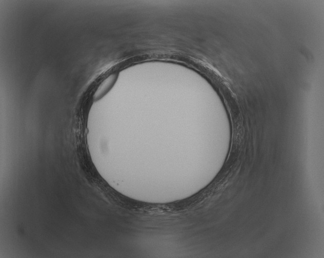 X0000116291255200912291405