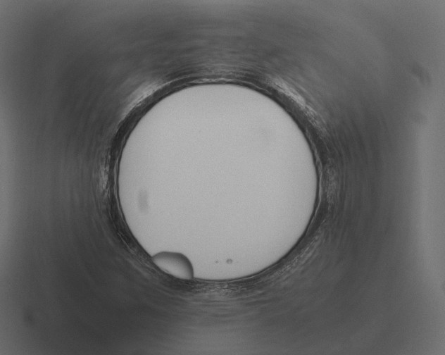 X0000116291259200912291405