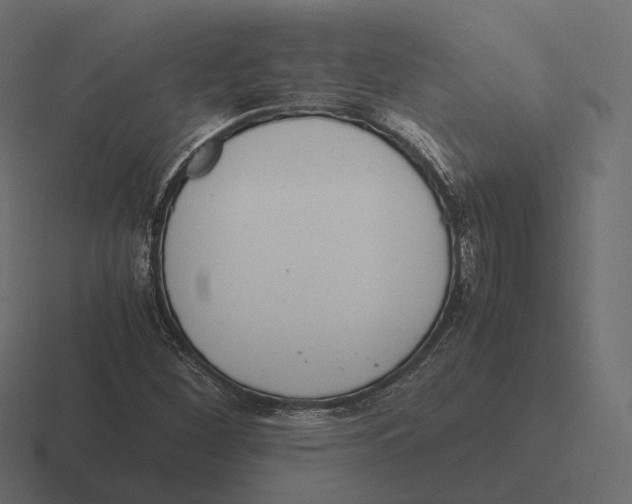 X0000116291260200912291405