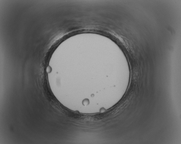 X0000116291263200912291405